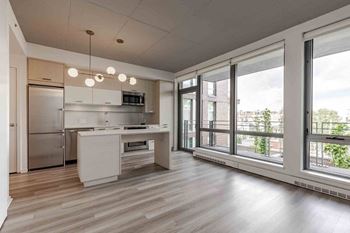 Modern kitchens equipped with top-of-the-line appliances