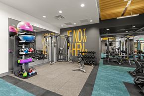 Seattle apartment for rent - the gym at the flats at big tex apartments