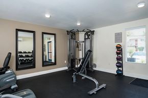 Eugene apartment for rent - A home gym with a treadmill, weights, and mirrors.