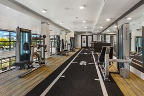 Phoenix apartment for rent - A gym with a variety of equipment including treadmills, weights, and exercise machines.