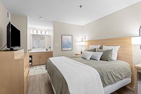 Sandy Springs apartment for rent - A bedroom with a large bed and a television on a cabinet.
