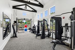 Richland apartment for rent - A gym with a variety of equipment including a squat rack, a bench press, and a rowing machine.