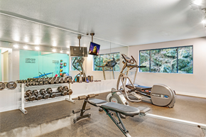 Seattle apartment for rent - Beacon View Apartments Fitness Center and Equipment
