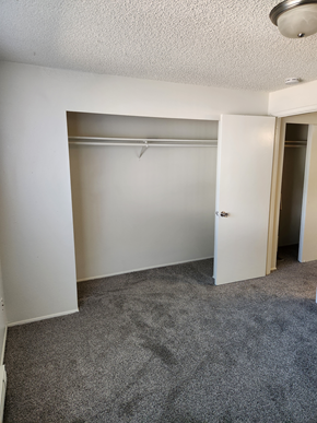 Lakewood apartment for rent - Wisteria Walk bedroom with a walk-in closet