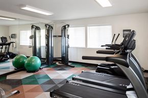 Portland apartment for rent - A gym with a treadmill, exercise balls and weights.