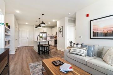 Cane Ridge apartment for rent - A modern living room with a grey sofa and a coffee table.