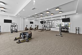 Aberdeen apartment for rent - a gym with weights and other exercise equipment in a large room