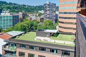 Portland apartment for rent - PortlandAstoria_Portland_Oregon_DogPark