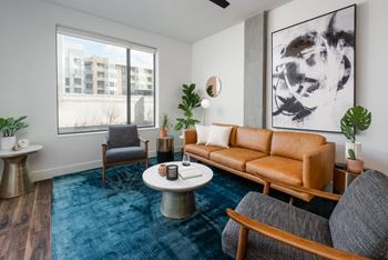 Oversized windows with roller shades