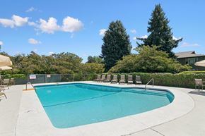 Eugene apartment for rent - A large outdoor swimming pool surrounded by trees and a fence.