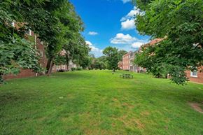 Silver Spring apartment for rent - A park with a grassy area and trees.