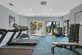 Tucson apartment for rent - A gym with treadmills, exercise balls, and a bench.