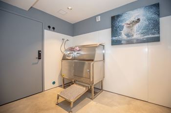 Dog wash/dry rooms