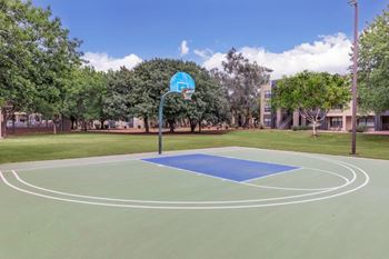 Basketball court