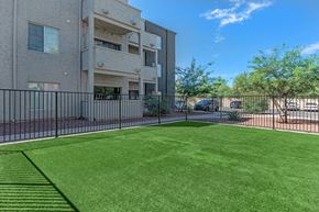 Tucson apartment for rent - A grassy area in front of a building with a black fence.