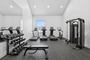 Vancouver townhouse for rent - A gym with treadmills, exercise bikes, and a weight machine.