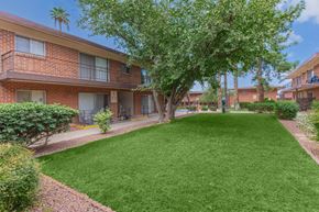 Tucson apartment for rent - A tree in a grassy courtyard in front of apartment buildings.