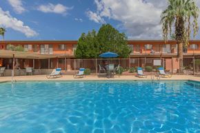 Tucson apartment for rent - A large swimming pool in front of a building with a palm tree.