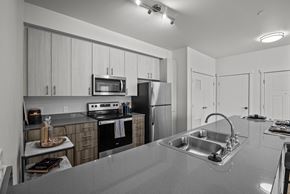 Pasco apartment for rent - a kitchen with stainless steel appliances and a sink