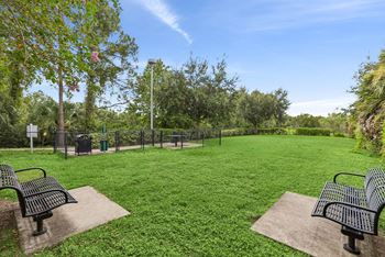 Dog park