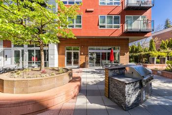 Courtyard garden with firepit and bbq area