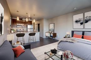 Seattle apartment for rent - Model Studio at Koi Apartments, Seattle