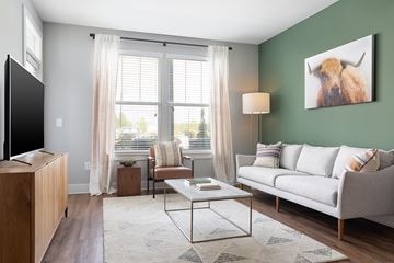 Charlotte apartment for rent - A living room with a grey couch, a coffee table, a television, and a painting of a bison on the wall.