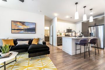 Dallas apartment for rent - A modern living room with a black sofa and a yellow rug.