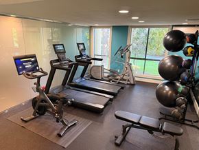 Bellevue apartment for rent - A gym with treadmills, exercise bikes, and weight training equipment.