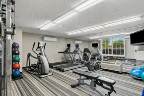 Houston apartment for rent - A well-equipped gym with a variety of exercise machines and weights.