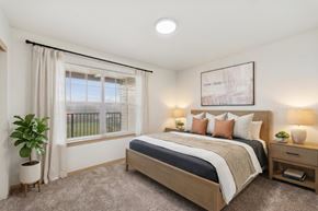 Eugene apartment for rent - A well-lit bedroom with a large bed and a potted plant.