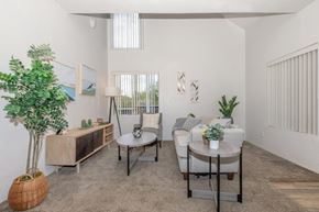 Tucson apartment for rent - A living room with a grey sofa, a white coffee table, and a green plant.