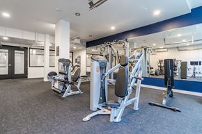 Shoreline apartment for rent - a gym with weights and cardio equipment in a building