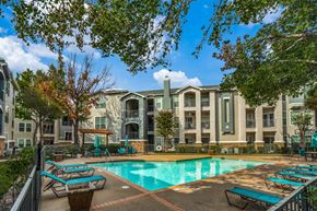 Dallas apartment for rent - Luxury Swimming Pool at Palencia Apartments, Dallas, TX