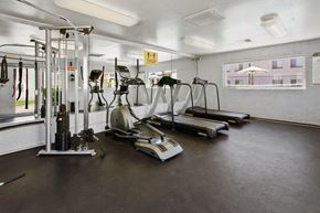 Phoenix apartment for rent - A gym with treadmills, elliptical machines, and other exercise equipment.
