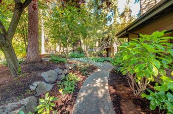 Park like walking trails