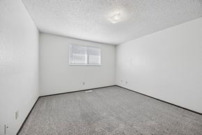 Kennewick apartment for rent - A white room with a grey carpet and a window.