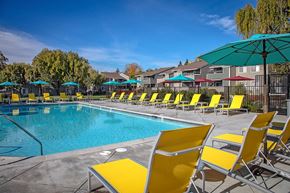 Santa Rosa apartment for rent - The Alexandar Pool with Lounge Chairs