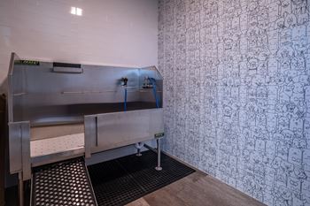 Dog park with mountain views + pet wash