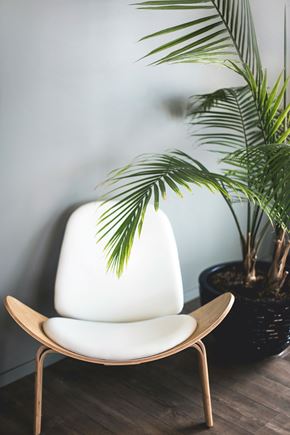 Irvine apartment for rent - A white chair with wooden legs sits next to a potted plant.