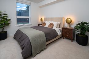 Shoreline apartment for rent - A bedroom with a bed, nightstand, and two potted plants.