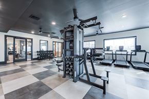 Wilson apartment for rent - A gym with a variety of equipment including treadmills, weights, and a squat rack.