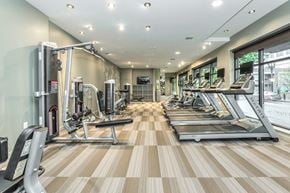 Portland apartment for rent - the gym is equipped with cardio equipment and weights