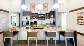 Manor apartment for rent - The Flats at Shadowglen Apartments in Manor, TX Clubhouse Kitchen