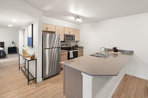 Olympia apartment for rent - The Goat Model Kitchen
