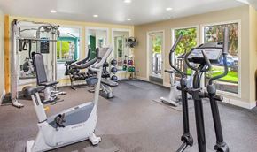 Kirkland apartment for rent - A spacious gym with a variety of equipment including treadmills, stationary bikes, and weight machines.