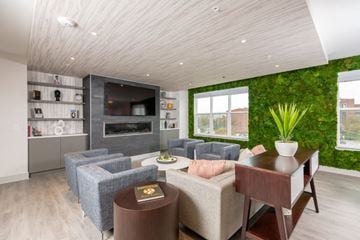 Baltimore apartment for rent - a living room with a green wall and a couch and a table
