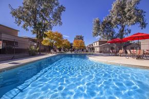 Tucson apartment for rent - A swimming pool surrounded by trees and chairs with umbrellas.