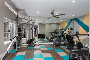Lynnwood apartment for rent - Novela Apartments Fitness Center