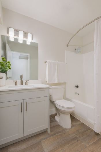 Rainfall shower heads